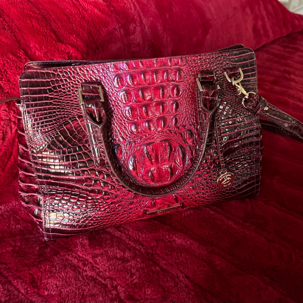 Brahmin Purse